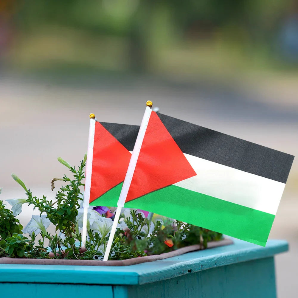Petit Drapeau Palestine