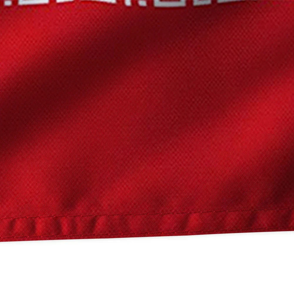 Drapeau Palestine Iran