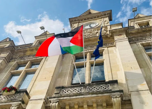 acheter drapeau palestine