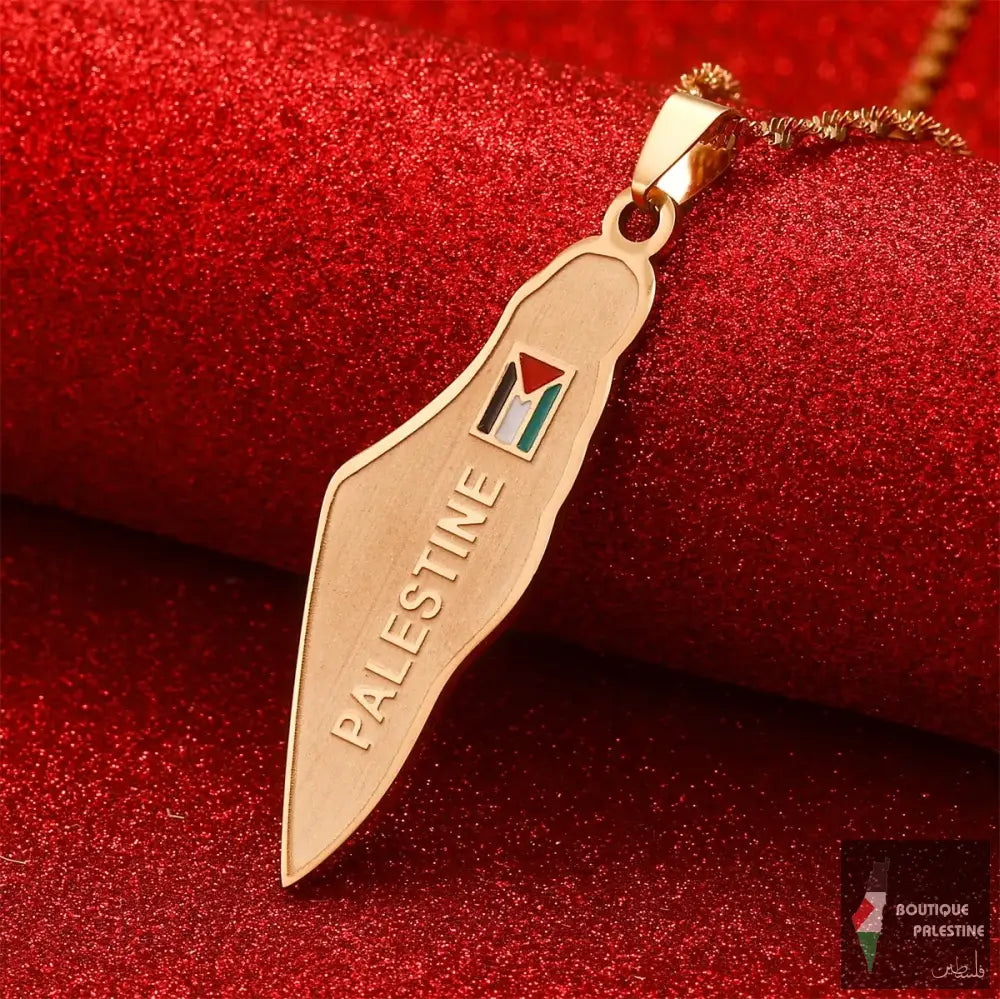 Collier Palestine Homme