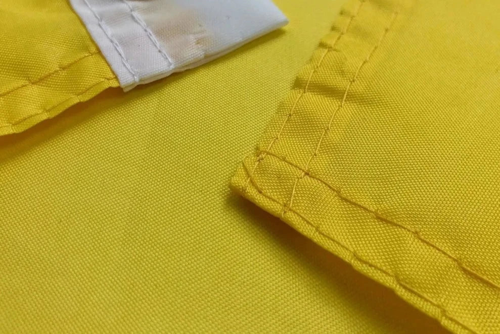 Grand Drapeau Palestine