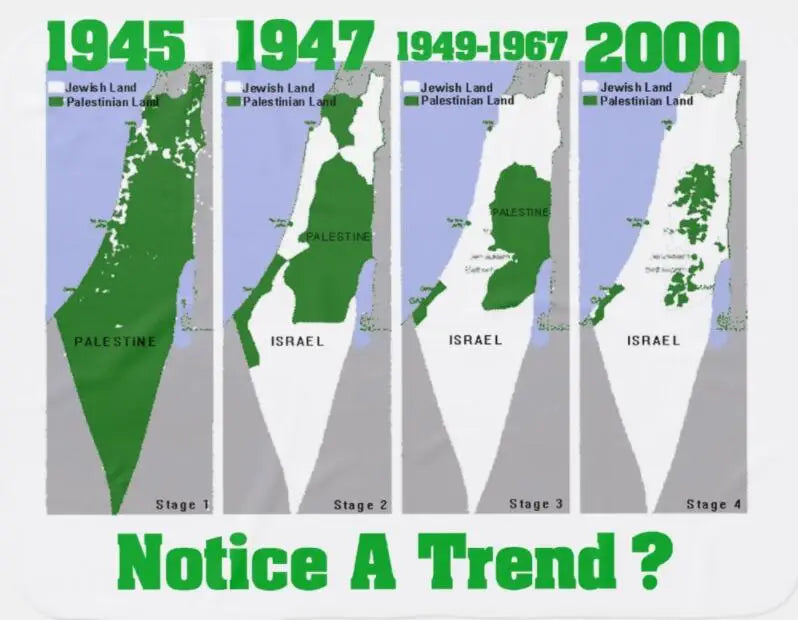 Palestine Map Evolution T Shirt